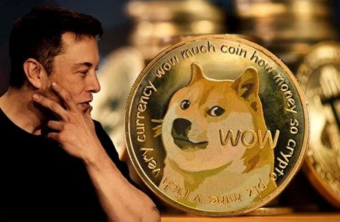 Dogcoin’in yüzü fenomen köpek Kabosu hayatını kaybetti