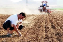 Çiftçilere Otomatik Bağ-Kur Şoku: Aylık 9 Bin TL Prim Borcu Gelebilir