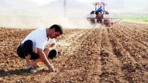 Çiftçilere Otomatik Bağ-Kur Şoku: Aylık 9 Bin TL Prim Borcu Gelebilir