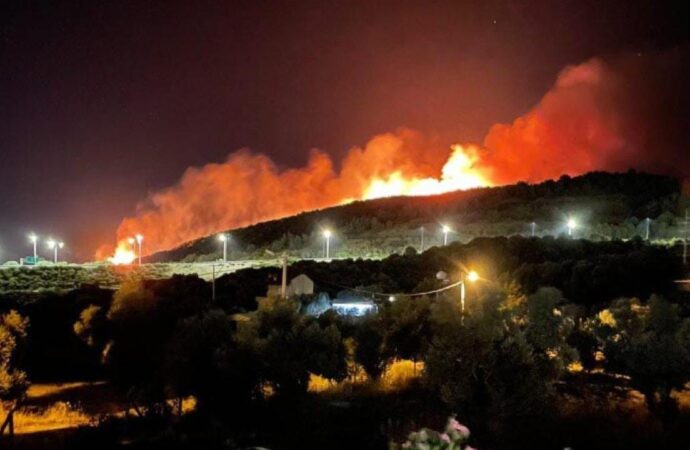 Orman yangınları ile ilgili 9 kişi tutuklandı