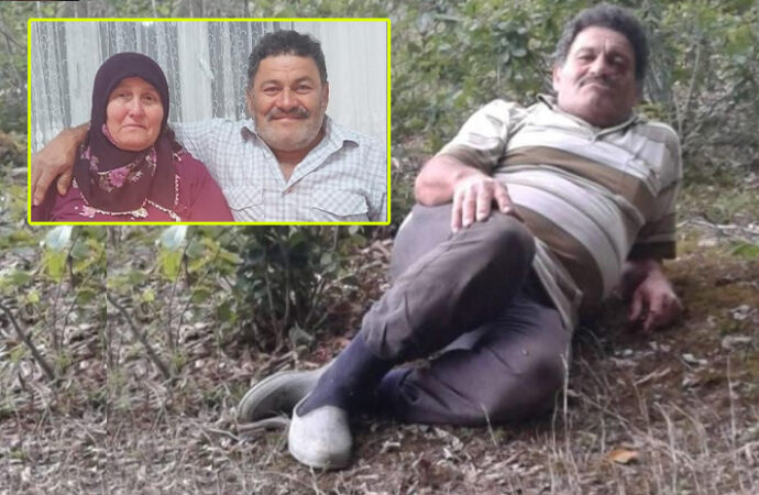 Ordu’da yaban domuzu karı kocaya saldırdı: 1’i ağır 2 yaralı!