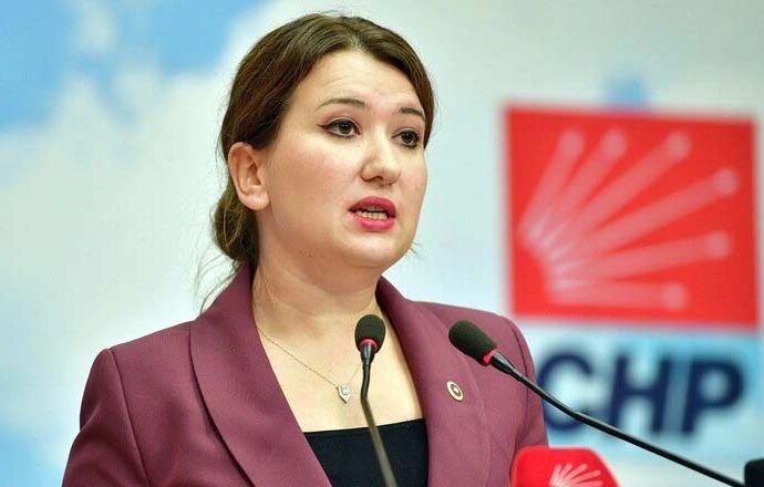 CHP’li Gökçen’den Bakan Tunç’a cevap: Bu kez gerçekleri karartamayacaksınız