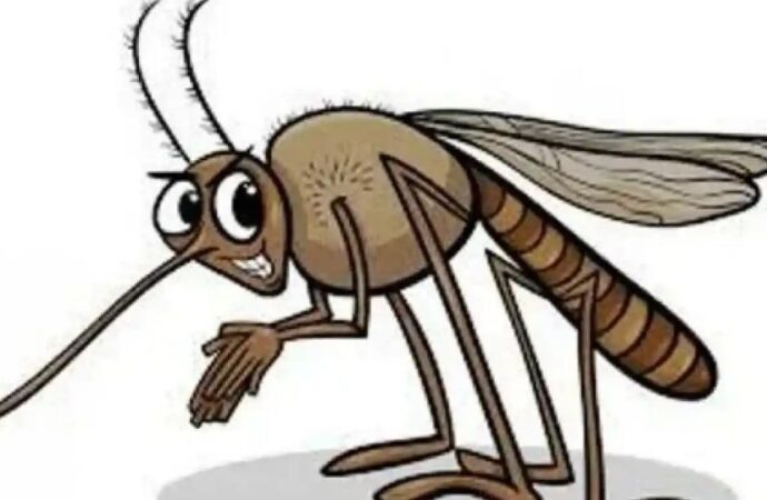 havalar Isındı, Sivrisinekler Kış Uykusundan Uyandı!