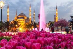 İstanbul Gezi Rehberi: Baharın Tadını Çıkarın