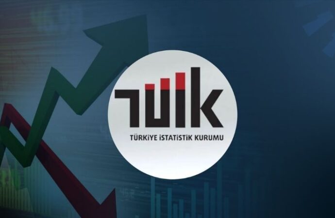 TÜİK mayıs ayı işsizlik rakamlarını açıkladı