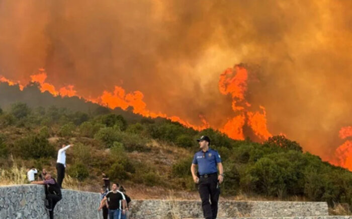 İzmir Ödemiş’te Orman Yangını Felakete Dönüştü: