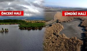 Kuşların Cenneti Gölünyazı Kurudu