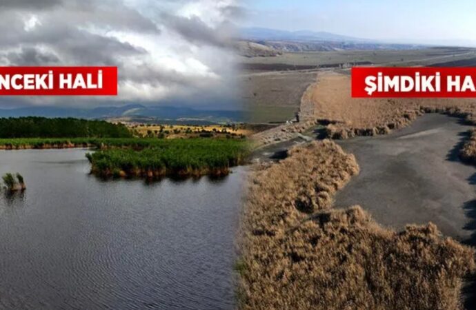 Kuşların Cenneti Gölünyazı Kurudu