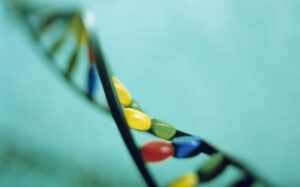 Genetikte Devrim: Bitki ve Hayvan DNA’sını Düzenleyen İki Yeni Yöntem Tanıtıldı