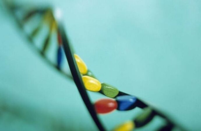 Genetikte Devrim: Bitki ve Hayvan DNA’sını Düzenleyen İki Yeni Yöntem Tanıtıldı